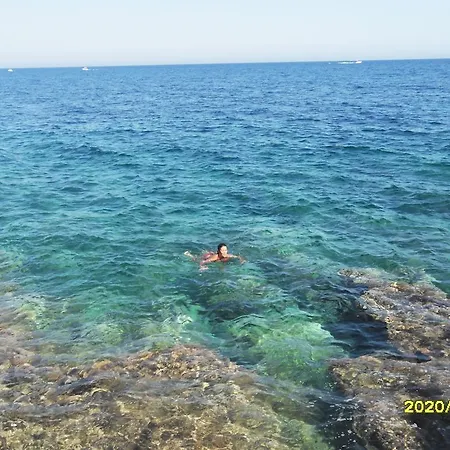 Spongano * Spongano